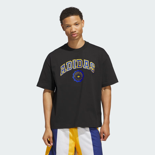 Camiseta Summer of Sport Graphic